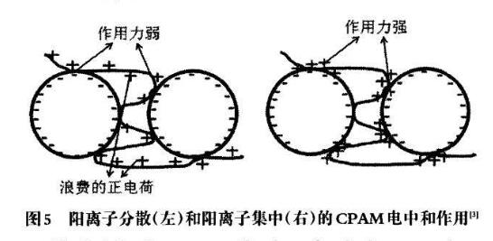 圖5陽(yáng)離子分散（左）和陽(yáng)離子集中（右）的CPAM電中和作用