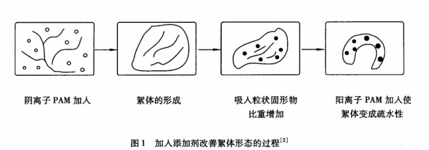 圖1 加入添加劑改善絮體形態(tài)的過程